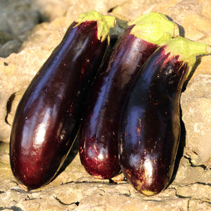 Eggplant, Diamond (Organic) Seeds