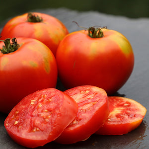 Tomato, Baker Family Heirloom (Organic) Seeds