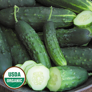 Cucumber, Early Fortune (Organic) Seeds