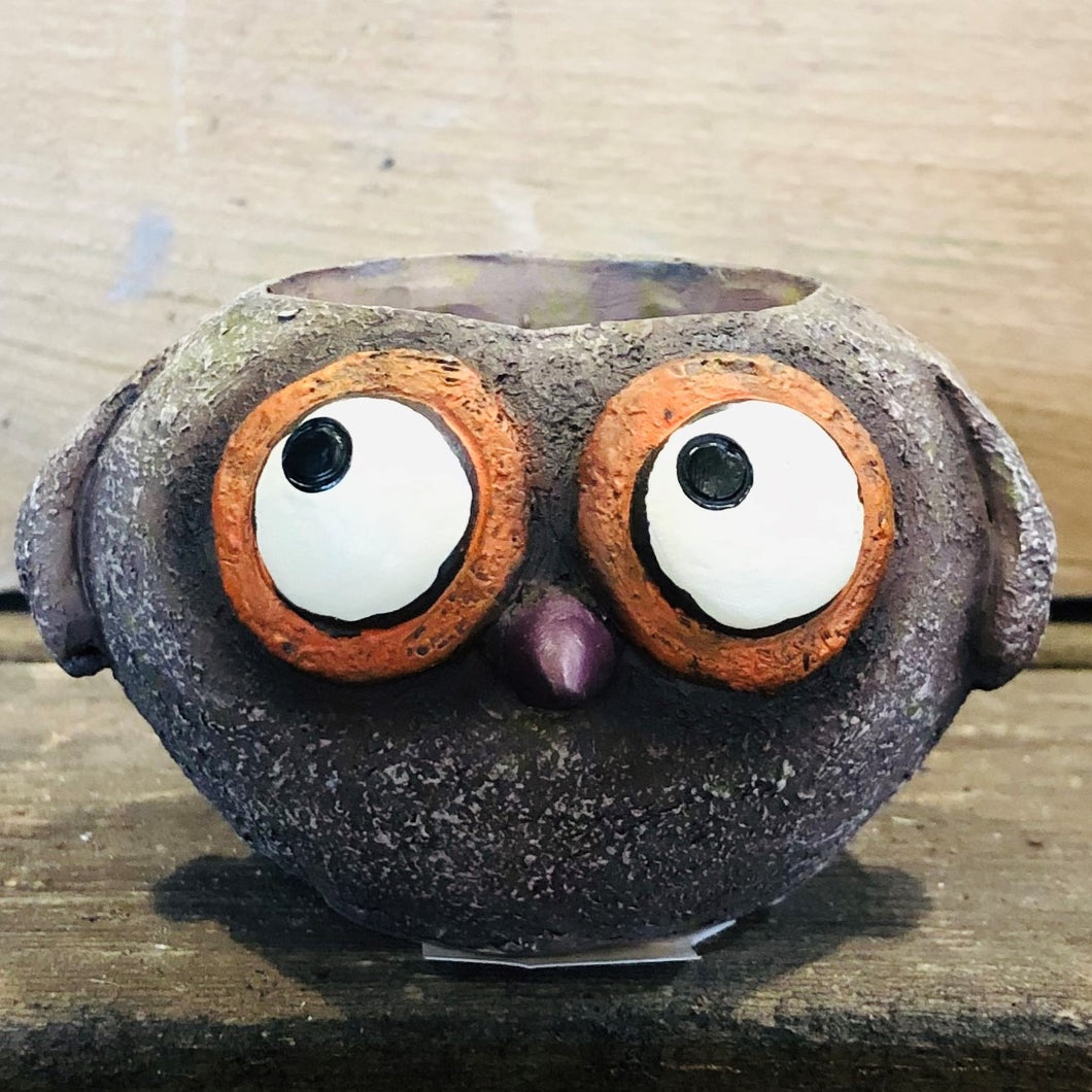 Baby Brown Owl Planter