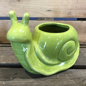 Jett the Snail Ceramic Planter