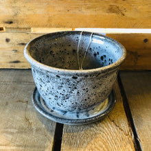 Load image into Gallery viewer, Lime Knot Leopard Speckled  Pot
